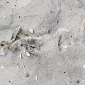 Sand und Statik